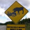 Invincible_Moose