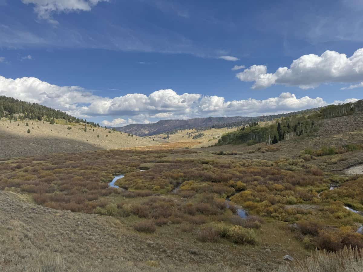 BridgerMT21 cover photo