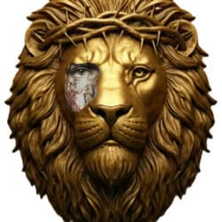 Thomasp avatar