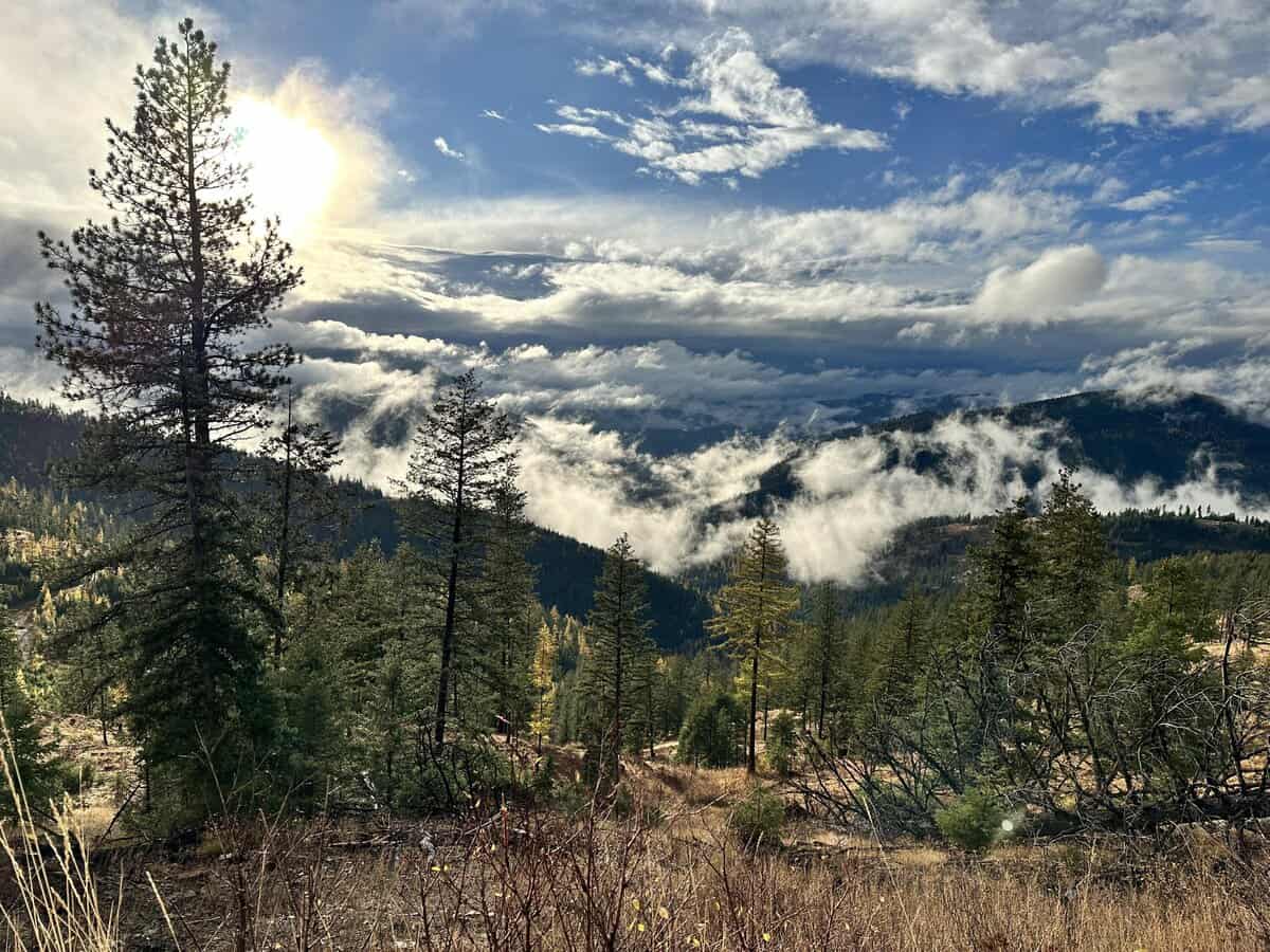 LACARMSANDCERAKOTELLC cover photo