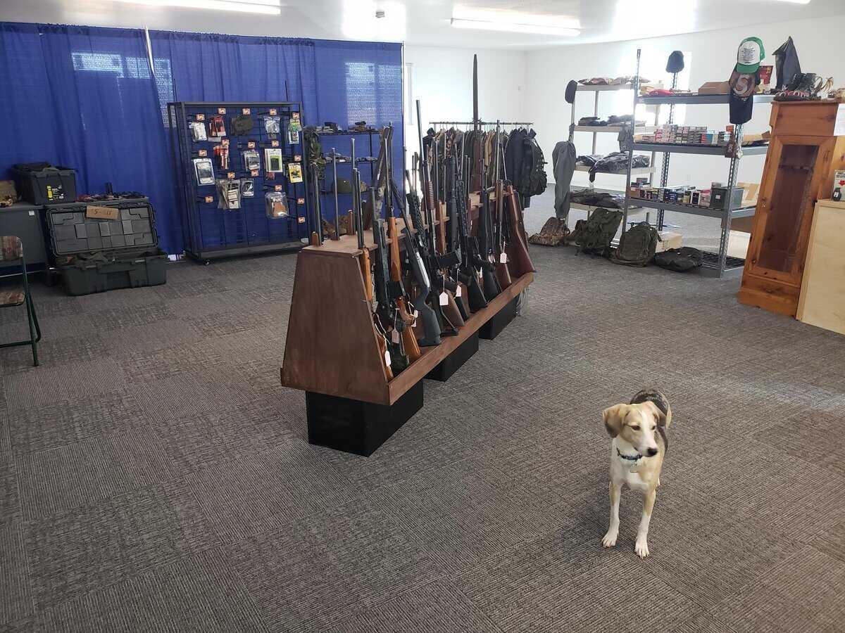 OddShots cover photo