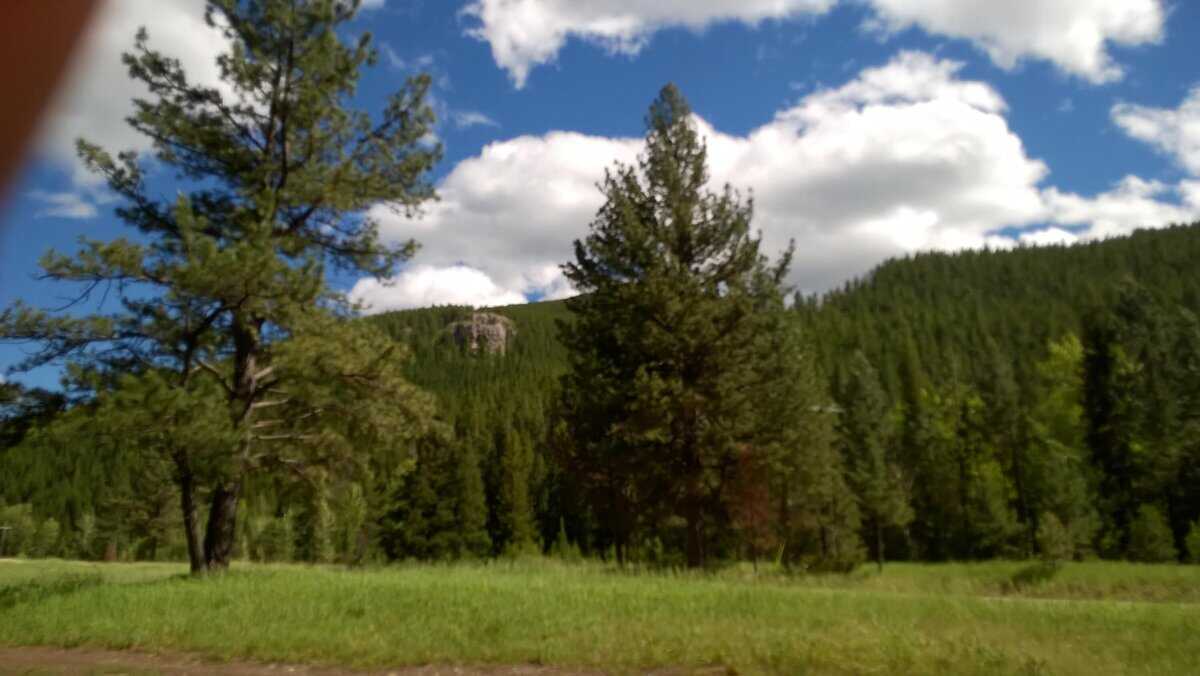 wildman2611 cover photo