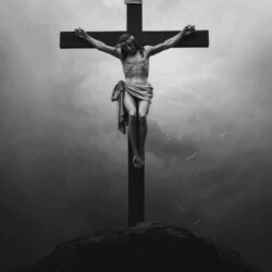 JesseCarpenter avatar