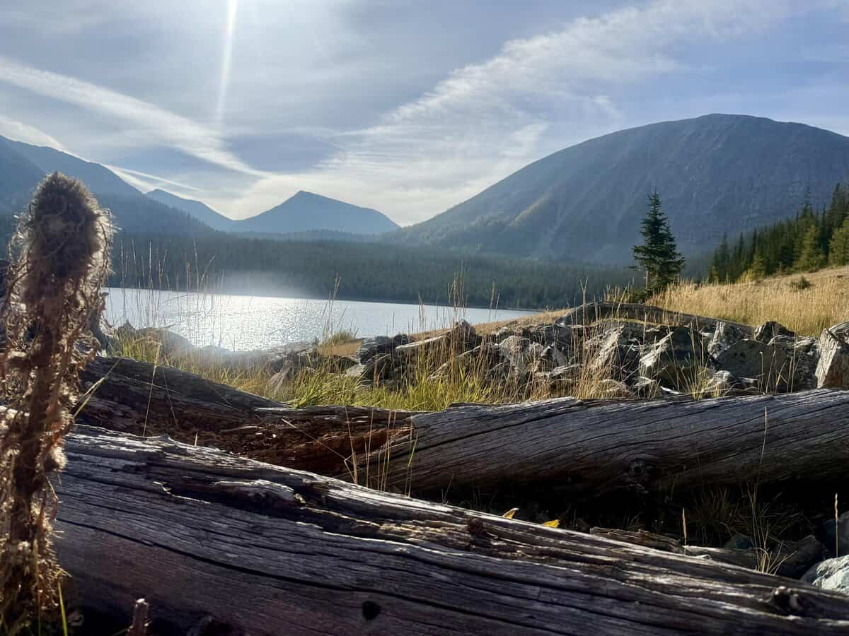 Muzzleborn cover photo