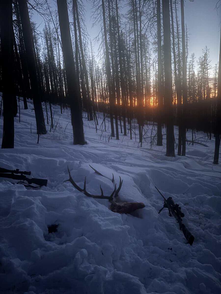 Elkslaya cover photo