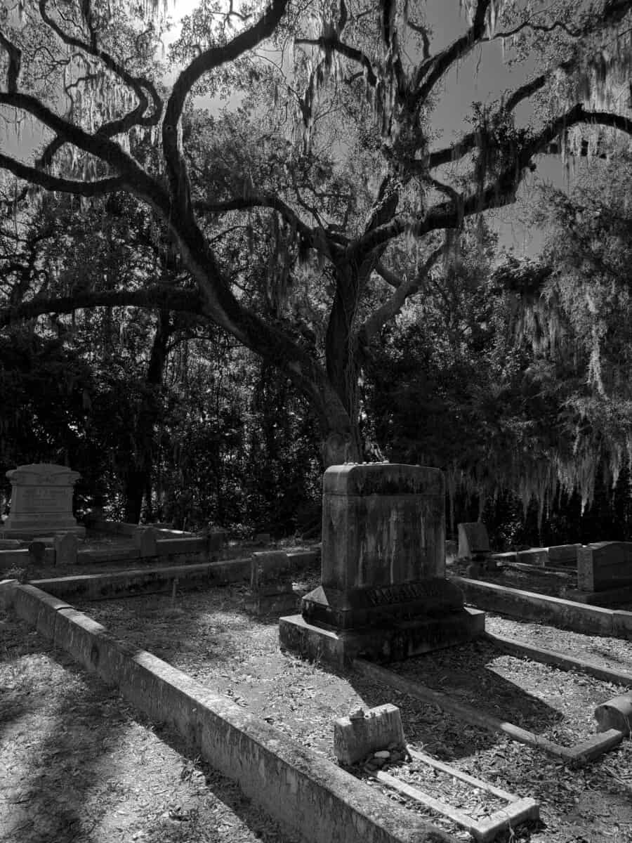 406.brandon cover photo