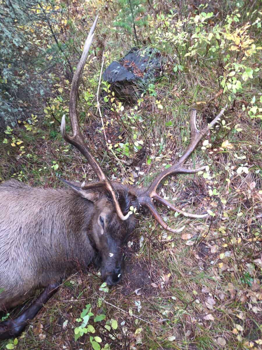 Greg2107 cover photo