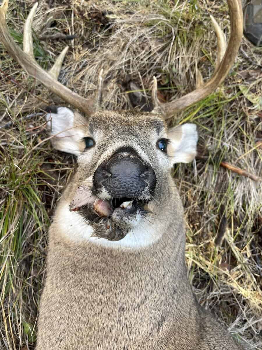 Blackdraft77 cover photo