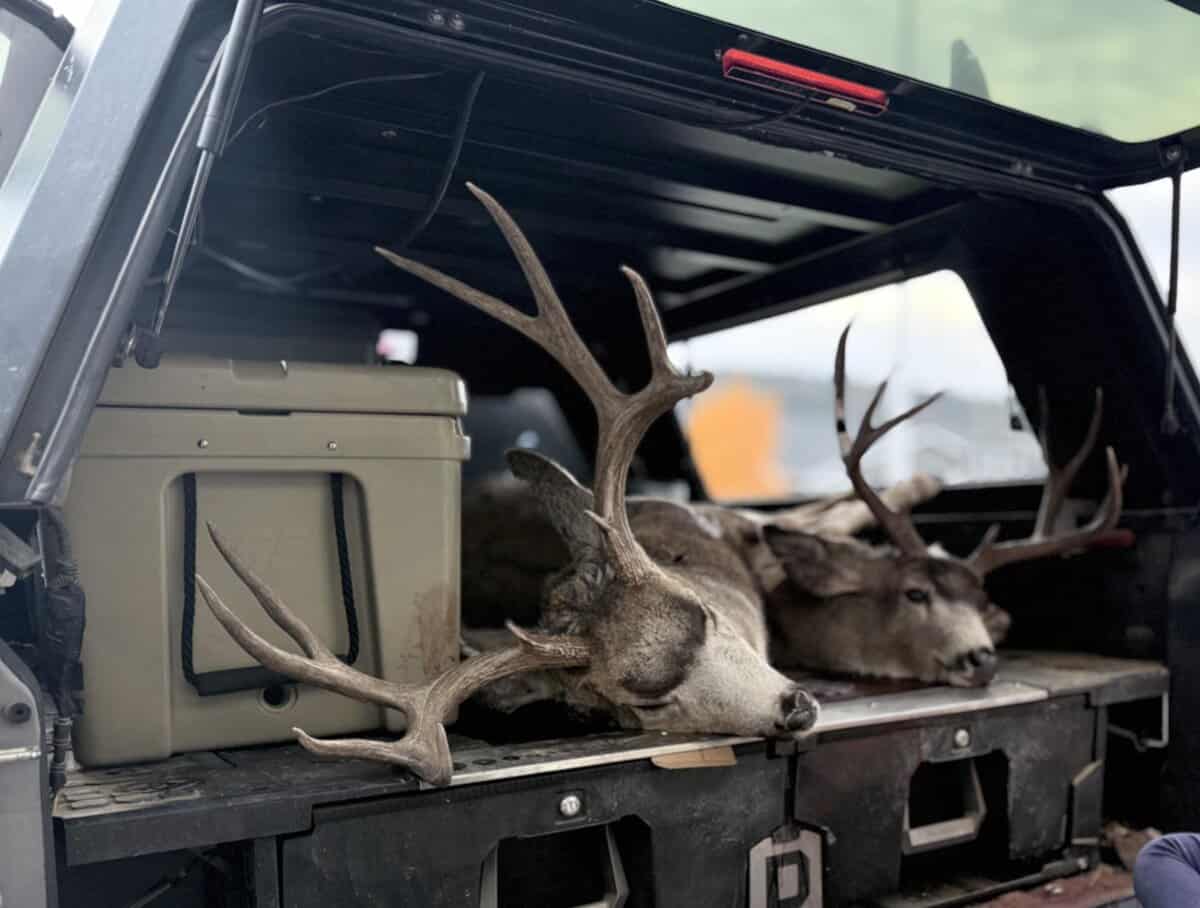 MicSmith cover photo