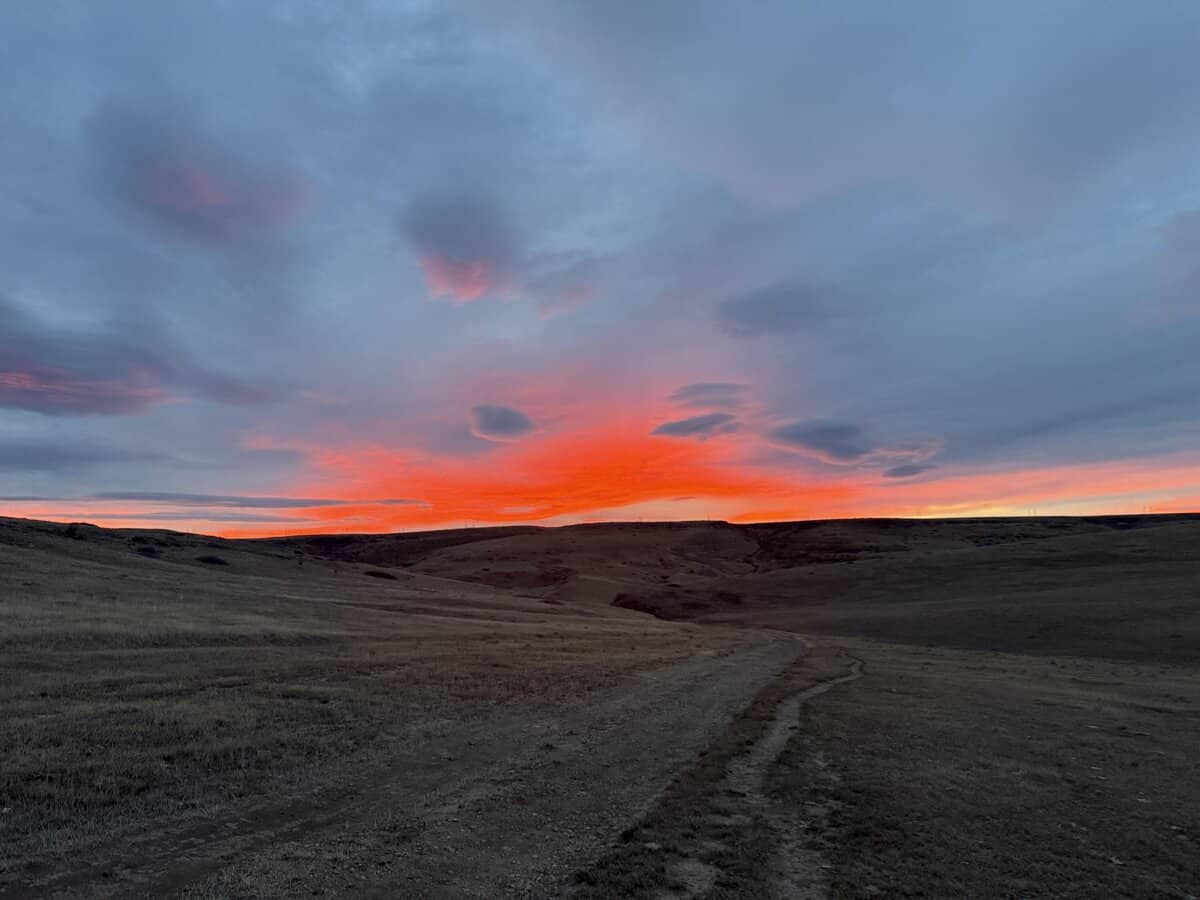 Hdogg721 cover photo