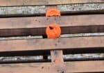 5.7 through clap pigeon. - It didn't even break!

Also will ignite tannerrite if you can hit it!