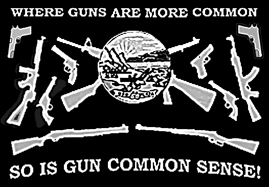 Common Sense Considerations For Safe, Private, Legal Firearms Transactions Without New Gun Control Laws