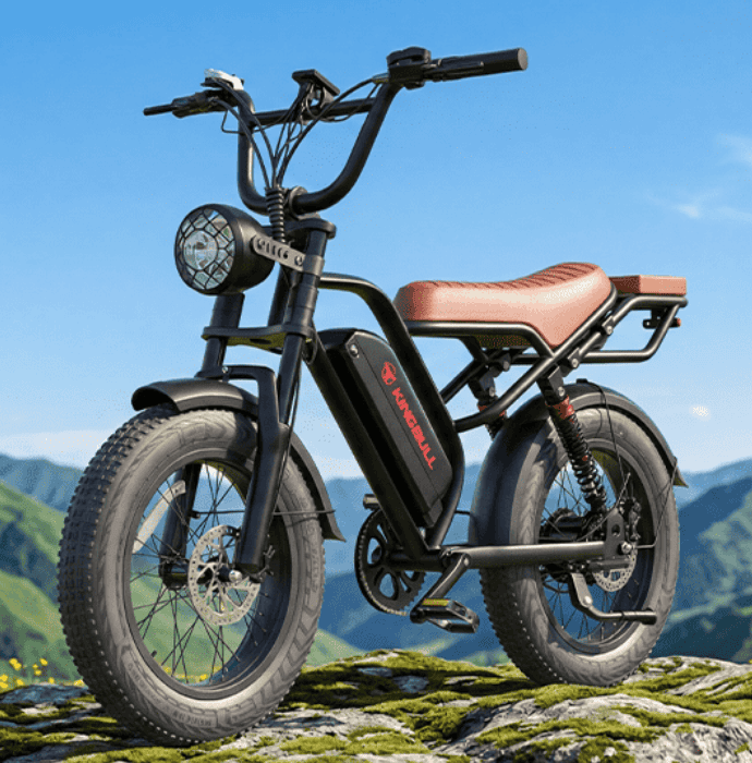 Kingbull EBikes Ad and Statistics