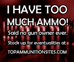Where can I find the latest in stock bulk ammo online from the best sites at Top Ammunition Sites?